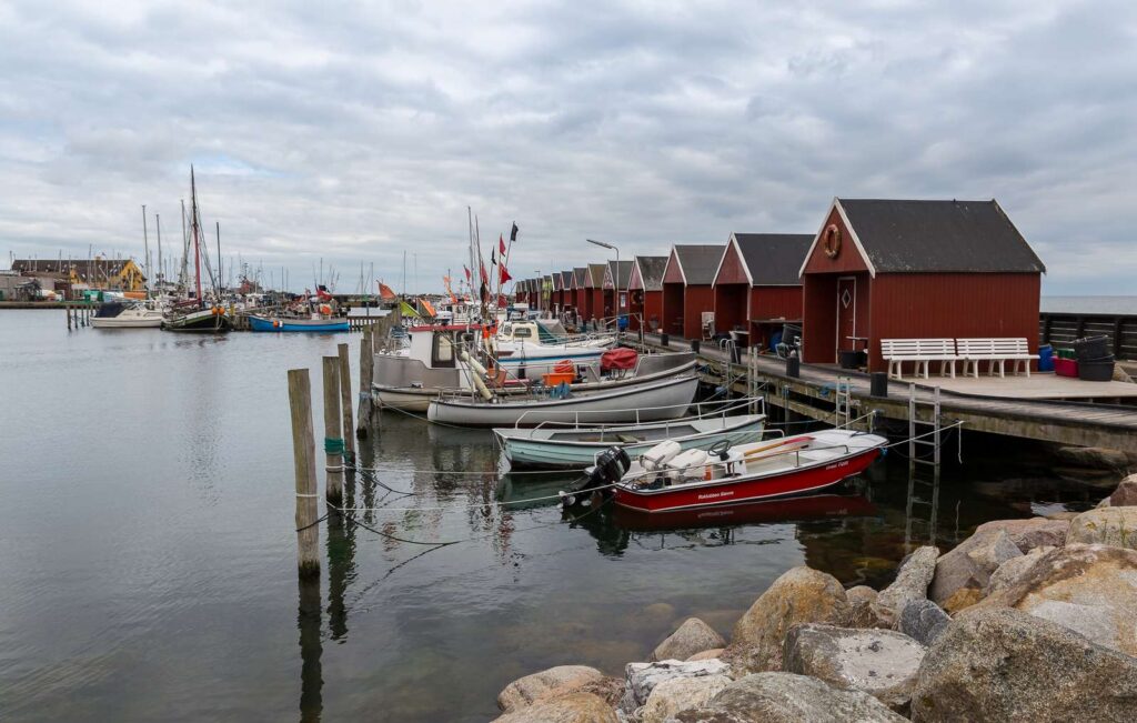 Rødvig Ferieby I Ferie I B&B I Konference I Naturskønne omgivelser med skov, marker, kyst og klint i nærheden